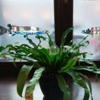 Vendéglő a Pisztrángoshoz Miskolc - Belső