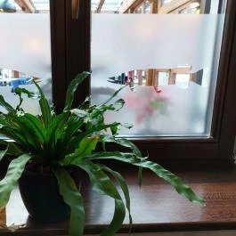 Vendéglő a Pisztrángoshoz Miskolc - Belső