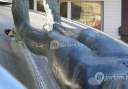 Vénusz születése Siófok