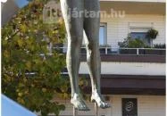 Vénusz születése Siófok