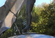 Vénusz születése Siófok