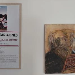 Venyige Porta Paloznak - Egyéb