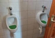 Venyige Porta Paloznak