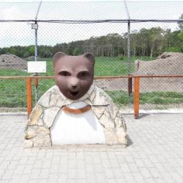 Veresegyházi Medveotthon Veresegyház - Egyéb