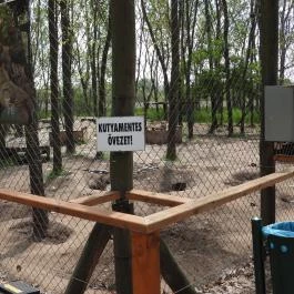 Veresegyházi Medveotthon Veresegyház - Egyéb