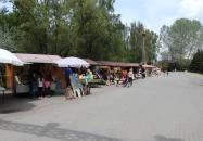 Veresegyházi Medveotthon Veresegyház