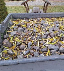 Vértes-Gerecse kisvasút emlékhely