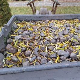 Vértes-Gerecse kisvasút emlékhely, Szárliget - Egyéb