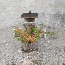 Vértesszentkereszti bencés apátsági templomrom Oroszlány - Egyéb