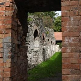 Vértesszentkereszti bencés apátsági templomrom Oroszlány - Egyéb