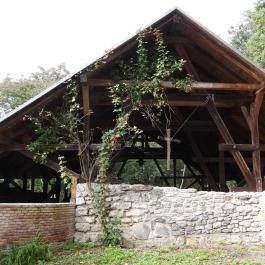 Vértesszentkereszti bencés apátsági templomrom Oroszlány - Külső kép