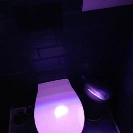 Vietnámi Gulyás, Budapest - Mosdó