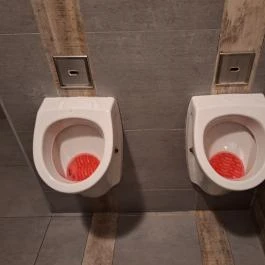 Vintage Garden Budapest - Mosdó