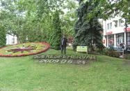 Virágóra Székesfehérvár