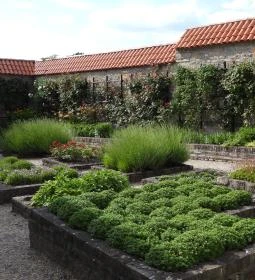 Királyi Palota - Visegrádi Mátyás Király Múzeum