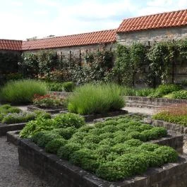 Királyi Palota - Visegrádi Mátyás Király Múzeum, Visegrád - Külső kép