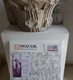 Viski Károly Múzeum