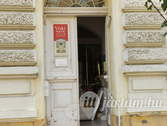 Viski Károly Múzeum