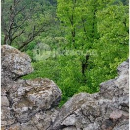 Vitányvár Vértessomló - Egyéb