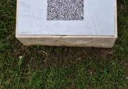 Vitéz János szobra Esztergom