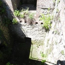 Vízibástya, Visegrád - Egyéb