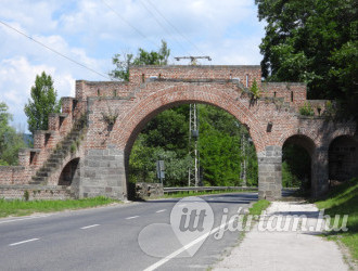 Vízibástya