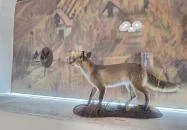 Völgységi Múzeum Bonyhád