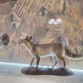 Völgységi Múzeum Bonyhád - Egyéb