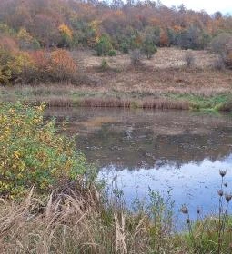 327. legjobb látnivaló: Vörös-tó