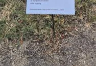Vörösmarty Mihály Emlékmúzeum Kápolnásnyék