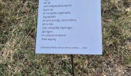 Vörösmarty Mihály Emlékmúzeum Kápolnásnyék - Külső kép