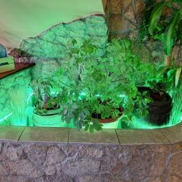 Vozi Restaurant Méhkerék - Egyéb