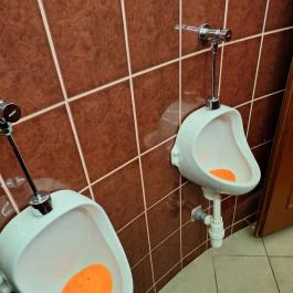 Vozi Restaurant Méhkerék - Mosdó