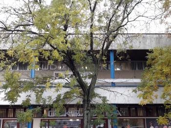 Vudíz Étterem Budapest