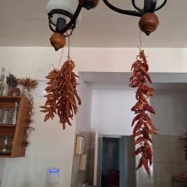 Vulcano Étterem Mesteri - Egyéb