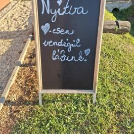 Vulcano Étterem Mesteri - Egyéb