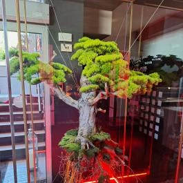 Wasabi Running Sushi & Wok Restaurant - Szépvölgyi út Budapest - Egyéb