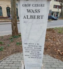Wass Albert
