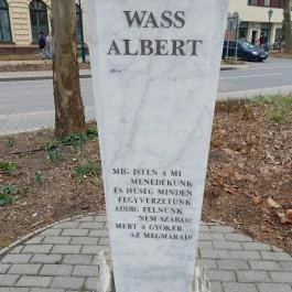 Wass Albert, Kiskunfélegyháza - Egyéb