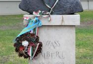 Wass Albert Solymár