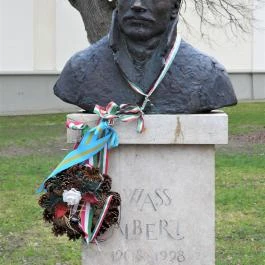 Wass Albert Solymár - Egyéb