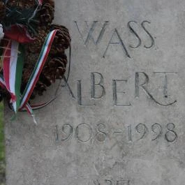 Wass Albert Solymár - Egyéb