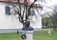 Wass Albert Solymár