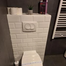 Waterfront Lodge, Dunapataj - Fürdőszoba