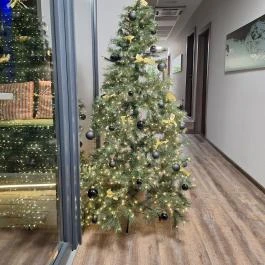 Waterfront Lodge, Dunapataj - Egyéb