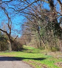 Wenckheim-kastély (Nagykastély)