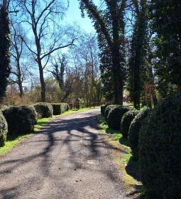 Wenckheim-kastély (Nagykastély)