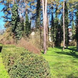 Wenckheim-kastély (Nagykastély) Tarhos - Külső kép