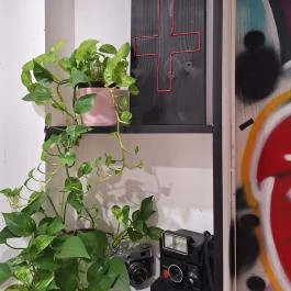 Wömbät Budapest - Egyéb