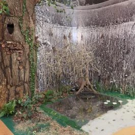 Wosinsky Mór Megyei Múzeum, Szekszárd - Egyéb